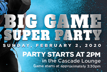 Big Game Super Party