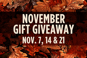 November Gift Giveaways - Las Vegas Deals