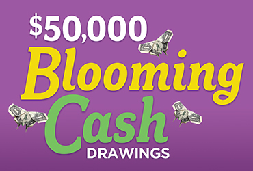 $50,000 Blooming Cash Drawings